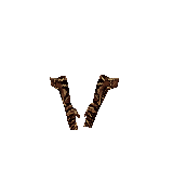 Vine