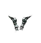 Bone