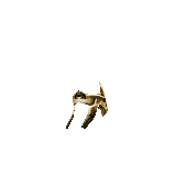 Pad