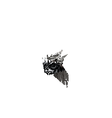 Bone