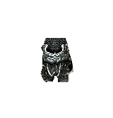 Bone